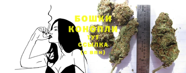 прущие грибы Вязьма