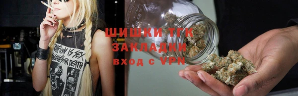 прущие грибы Вязьма