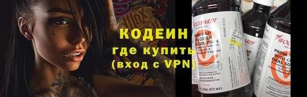 прущие грибы Вязьма