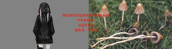 крисы Вязники