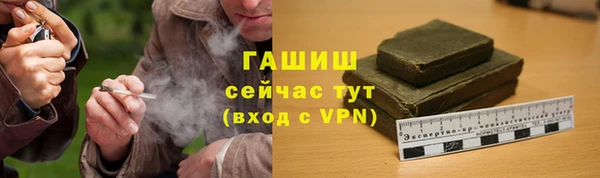 прущие грибы Вязьма