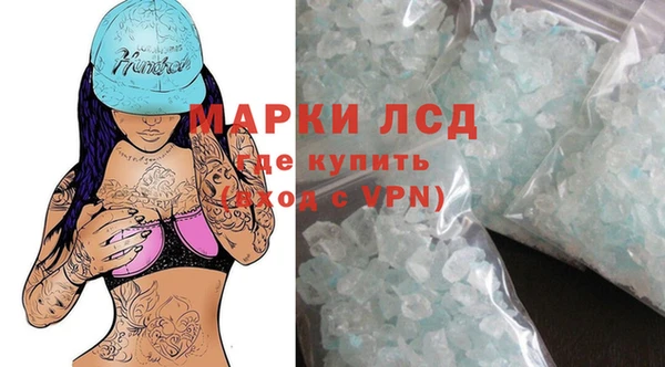прущие грибы Вязьма