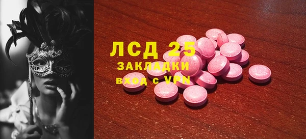 прущие грибы Вязьма