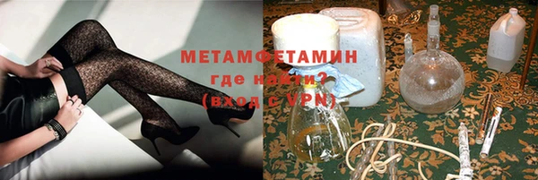 прущие грибы Вязьма