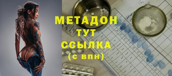 прущие грибы Вязьма