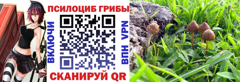 Псилоцибиновые грибы Psilocybine cubensis  где продают наркотики  Верхоянск 